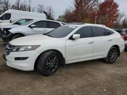 Honda Vehiculos salvage en venta: 2010 Honda Accord Crosstour EXL