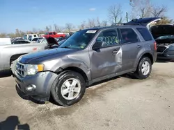 Ford Escape salvage cars for sale: 2010 Ford Escape XLT