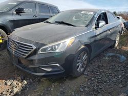 Salvage cars for sale from Copart Pennsburg, PA: 2016 Hyundai Sonata SE