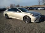 2022 Lexus ES 250 Base