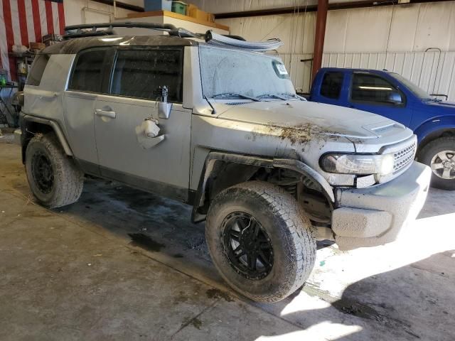 2007 Toyota FJ Cruiser