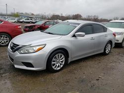 Salvage cars for sale at Louisville, KY auction: 2016 Nissan Altima 2.5