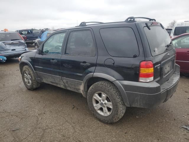 2005 Ford Escape XLT