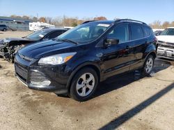 Salvage cars for sale at Louisville, KY auction: 2016 Ford Escape SE