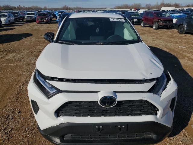 2023 Toyota Rav4 XLE