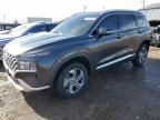 2023 Hyundai Santa FE SEL Premium