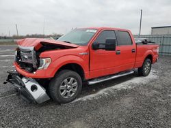 Salvage trucks for sale at Ottawa, ON auction: 2014 Ford F150 Supercrew