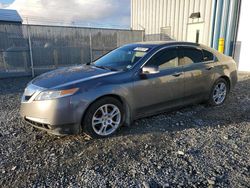Salvage cars for sale at Elmsdale, NS auction: 2009 Acura TL