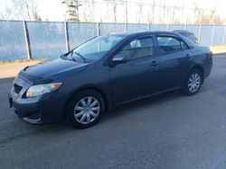 Salvage cars for sale from Copart Atlantic Canada Auction, NB: 2009 Toyota Corolla Base