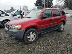 Salvage cars for sale at Graham, WA auction: 2005 Ford Escape XLT