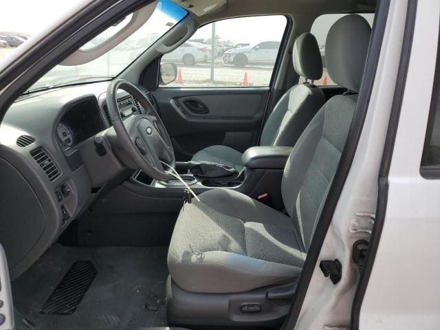 2005 Ford Escape XLT