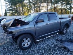 Salvage cars for sale from Copart Windsor, NJ: 2009 Dodge RAM 1500