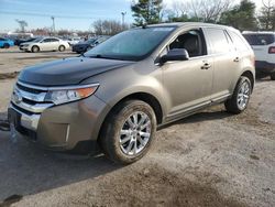 Ford Edge Limited salvage cars for sale: 2013 Ford Edge Limited