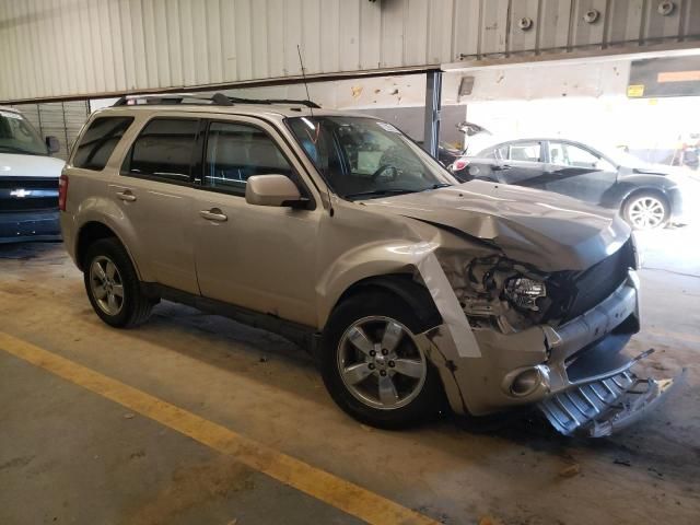 2011 Ford Escape Limited