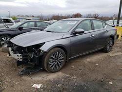 Salvage cars for sale from Copart Louisville, KY: 2023 Nissan Altima SV