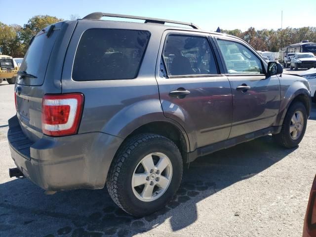 2009 Ford Escape XLT