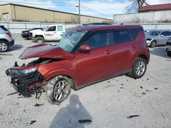 Salvage cars for sale from Copart Lexington, KY: 2023 KIA Soul LX