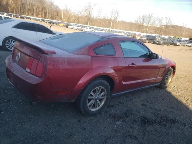 2005 Ford Mustang