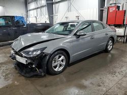 2023 Hyundai Sonata SE for sale in Ham Lake, MN