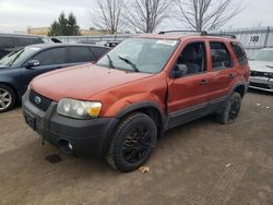 Salvage cars for sale at Bowmanville, ON auction: 2007 Ford Escape XLT