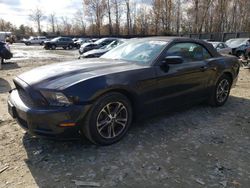 Salvage cars for sale at Waldorf, MD auction: 2014 Ford Mustang