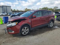 Salvage cars for sale at Florence, MS auction: 2014 Ford Escape SE