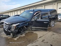Cadillac salvage cars for sale: 2017 Cadillac Escalade ESV Premium Luxury