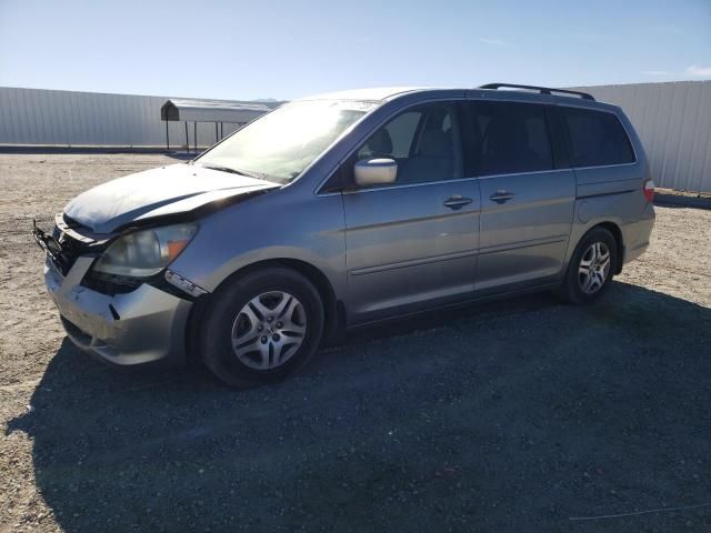 2005 Honda Odyssey EX