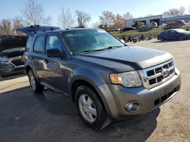 2010 Ford Escape XLT