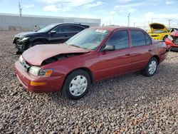 Vehiculos salvage en venta de Copart Phoenix, AZ: 1996 Toyota Corolla