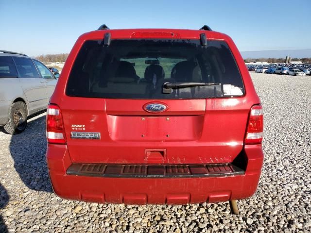 2011 Ford Escape XLT