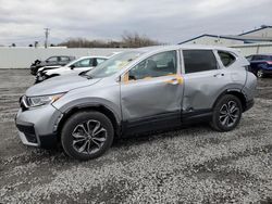 2022 Honda CR-V EX for sale in Albany, NY