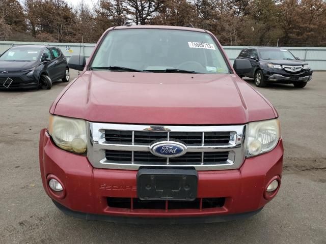 2010 Ford Escape XLT