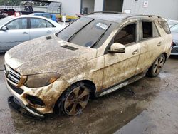 Carros dañados por inundaciones a la venta en subasta: 2017 Mercedes-Benz GLE 350