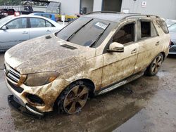 Mercedes-Benz gle 350 salvage cars for sale: 2017 Mercedes-Benz GLE 350