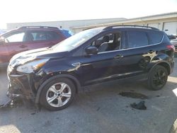 Salvage cars for sale from Copart Earlington, KY: 2016 Ford Escape SE