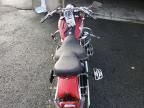 2002 Harley-Davidson Flstci