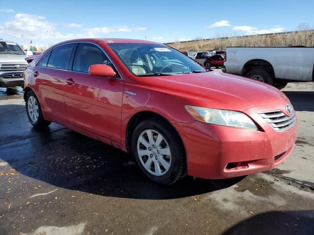 2009 Toyota Camry Hybrid