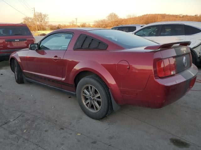 2005 Ford Mustang