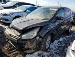 Salvage cars for sale from Copart Elgin, IL: 2013 Ford Escape SE