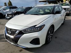 Salvage cars for sale from Copart Hayward, CA: 2023 Nissan Maxima SV