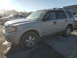 Salvage cars for sale from Copart Duryea, PA: 2008 Ford Escape XLT