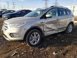 Salvage cars for sale at Elgin, IL auction: 2018 Ford Escape SEL