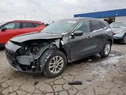 Ford Escape se salvage cars for sale: 2020 Ford Escape SE