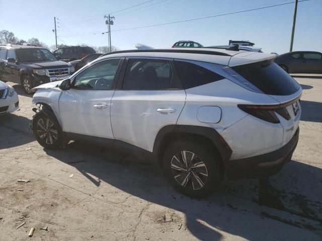 2022 Hyundai Tucson Blue