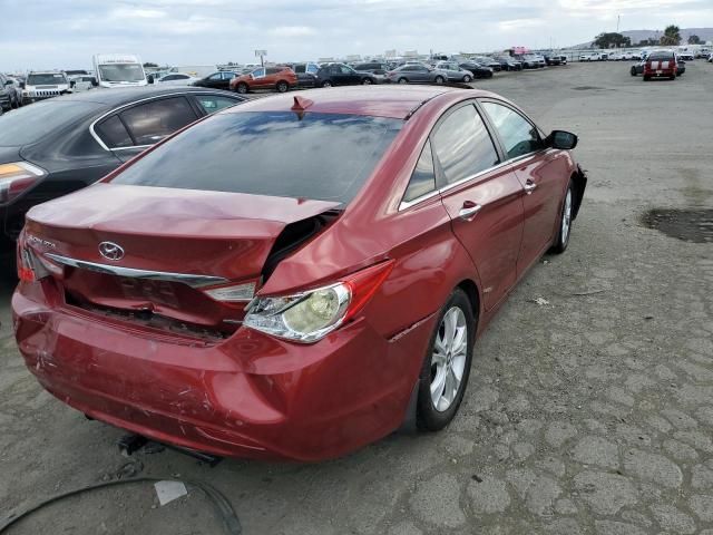 2013 Hyundai Sonata SE