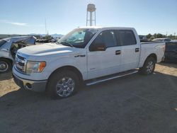 Ford salvage cars for sale: 2013 Ford F150 Supercrew