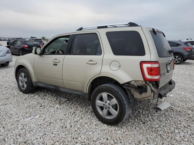 2011 Ford Escape Limited