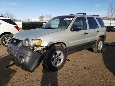 Salvage cars for sale from Copart Columbia Station, OH: 2006 Ford Escape XLT