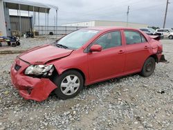 Salvage cars for sale at Tifton, GA auction: 2009 Toyota Corolla Base